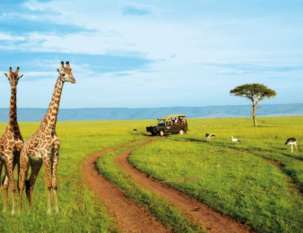 on-a-kenya-safari-1jp