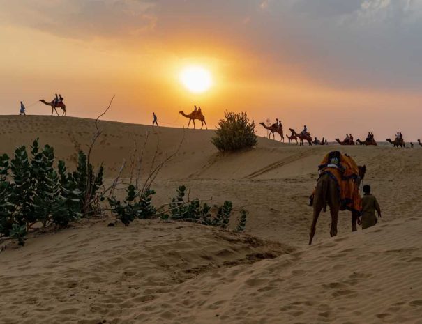 492596643860db93eec4bo_20220125083938