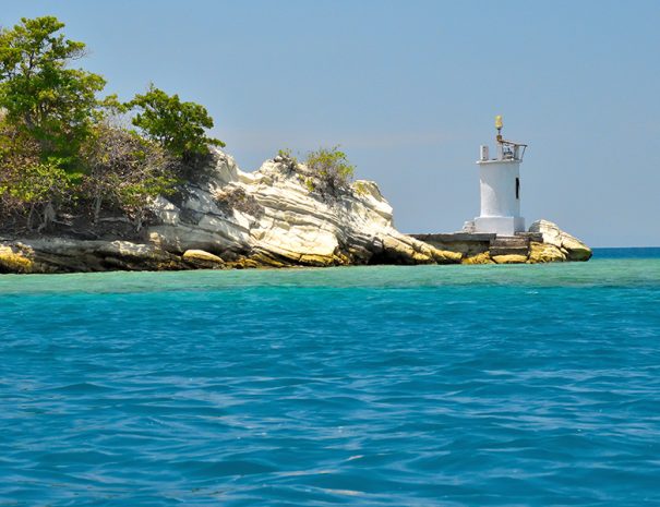 61c973f161a72185_hv1